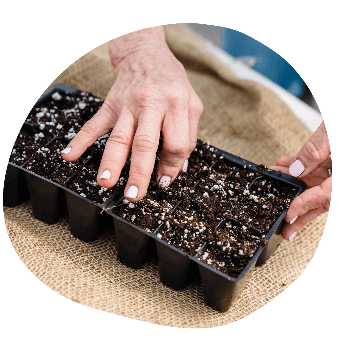 Hand filling cell sheet with soil